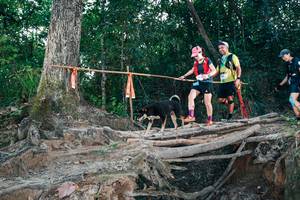 BIB: 
                            <button type="button" onclick="openModal(27312880)" class="btn btn-primary btn-sm float-right btn-popup" data-toggle="modal" data-target=".modal-high-quality">
                        <i class="fas fa-shopping-cart"></i> Add to Cart
                    </button>
                                            <button type="button" onclick="isThisMe(27312880, true)" class="btn btn-success btn-sm float-right btn-popup btn-isme hidden" data-toggle="tooltip" data-placement="bottom" title="นี่คือรูปของคุณใช่ไหม คลิกที่นี่เพื่อเอาเข้าอัลบั้ม">
                        <i class="fas fa-plus"></i> Add to album
                    </button>
                    <button type="button" onclick="isThisMe(27312880, false)" class="btn btn-warning btn-sm float-right btn-popup btn-isnotme hidden">
                        <i class="fas fa-ban"></i> Remove from album
                    </button>